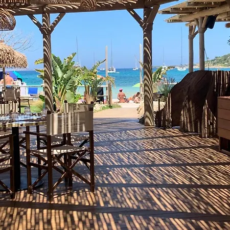 Bouganville * Porto Rotondo